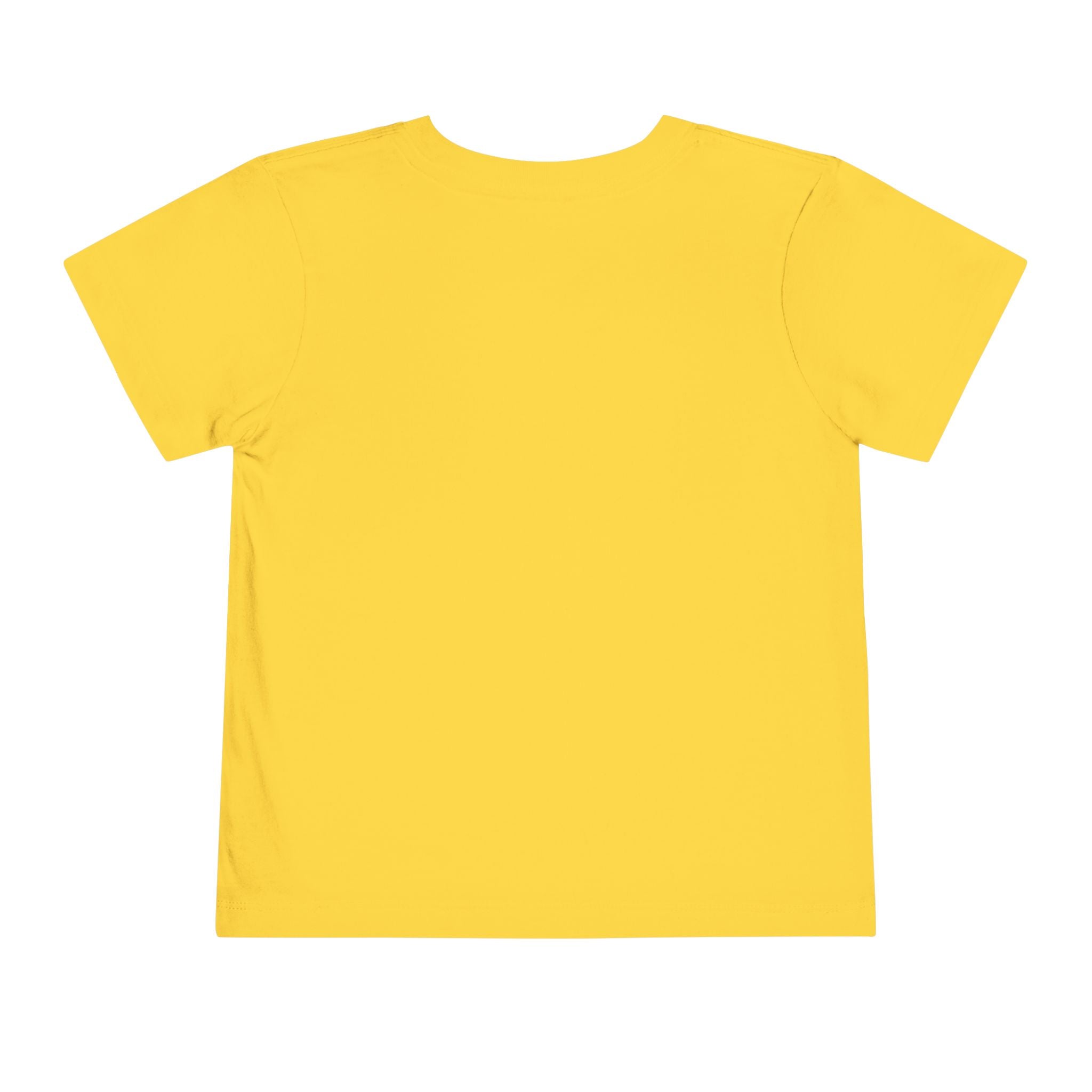 Toddler Tee - Colorful Aquarium Angelfish Graphic Shirt