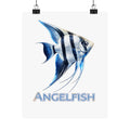 Angelfish Wall Poster — Matte Vertical Marine Fish Art Print