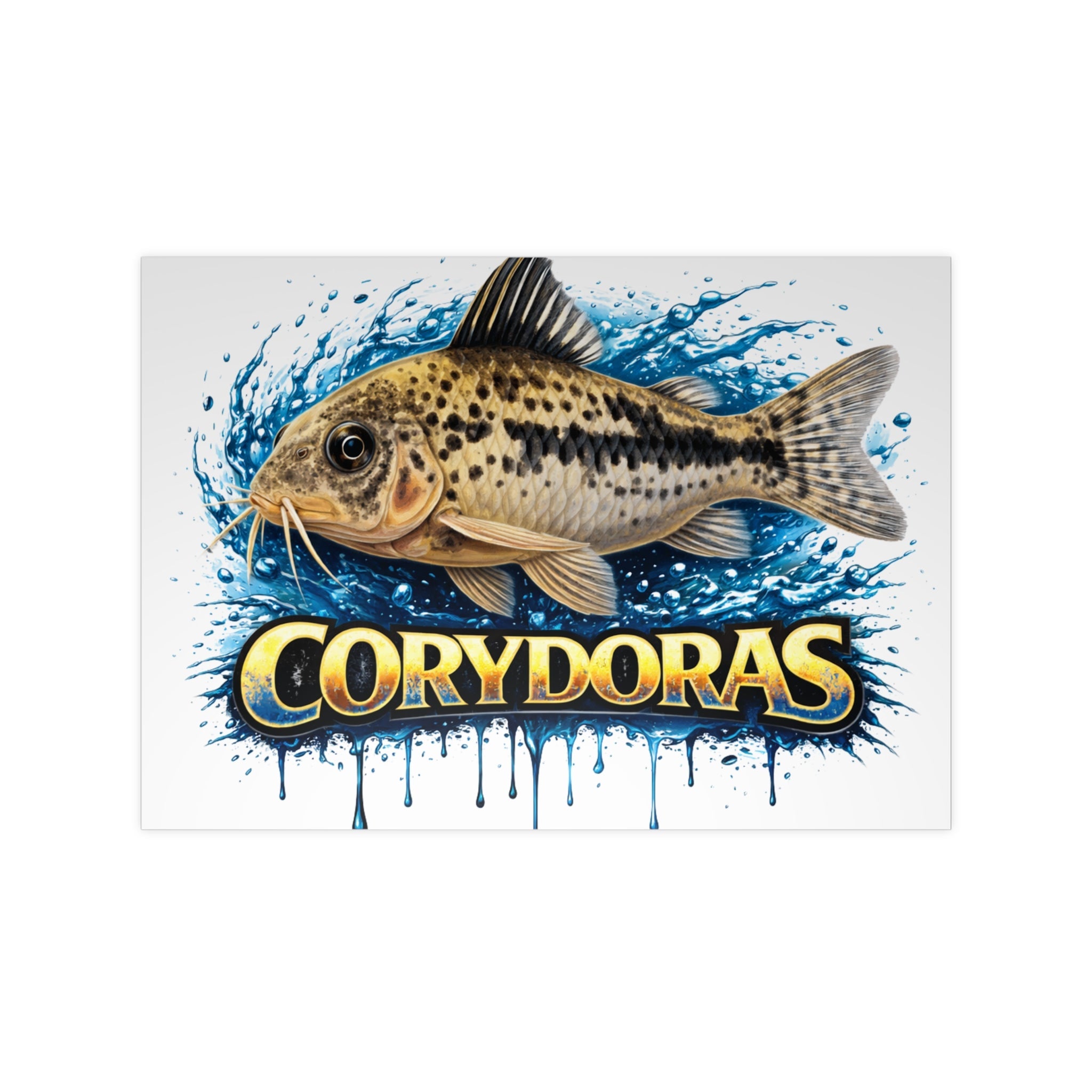 Peppered Cory Photopaper Poster — Colorful Aquarium Catfish Art Print