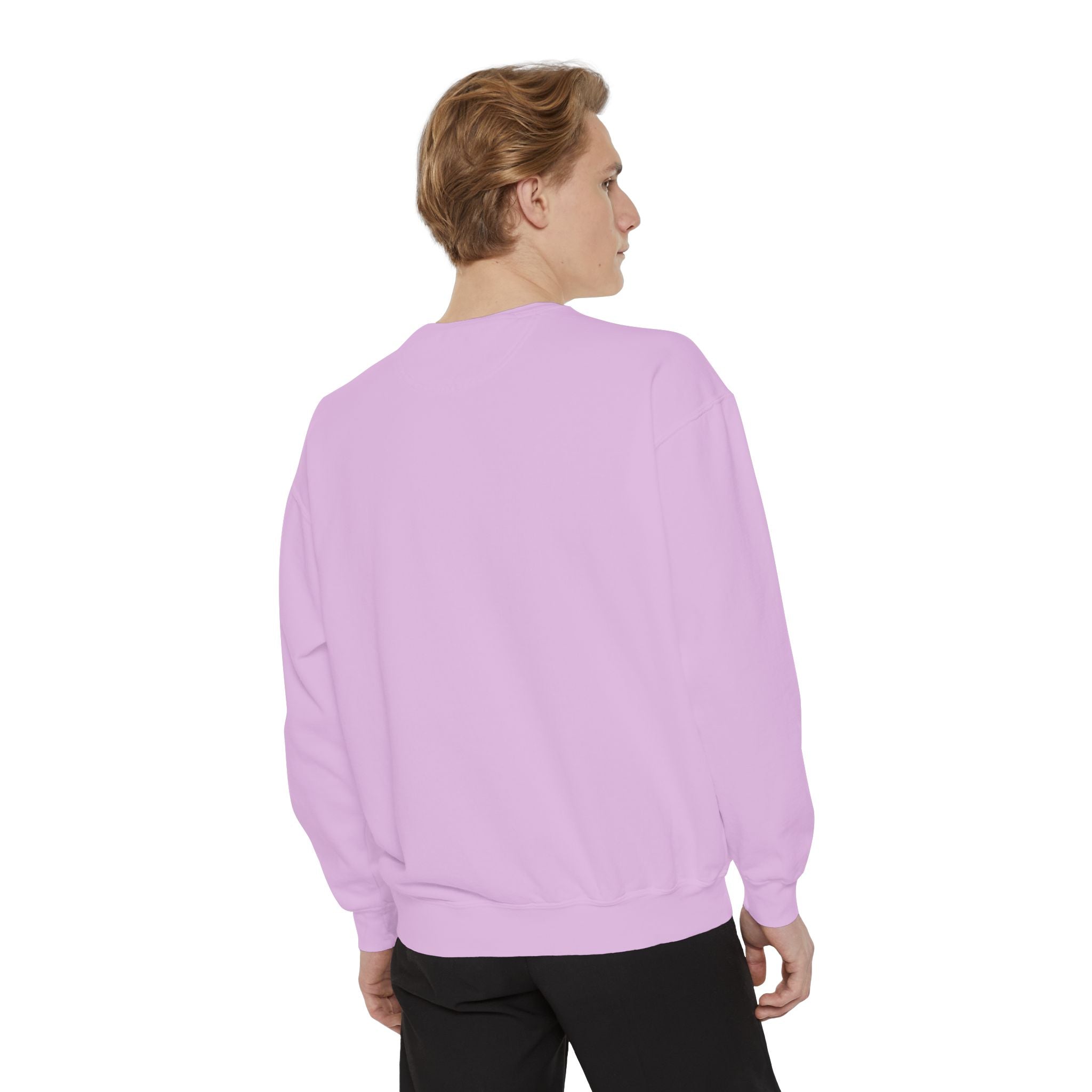 Angelfish Art Sweatshirt — Colorful Aquarium Fish Graphic Sweatshirt