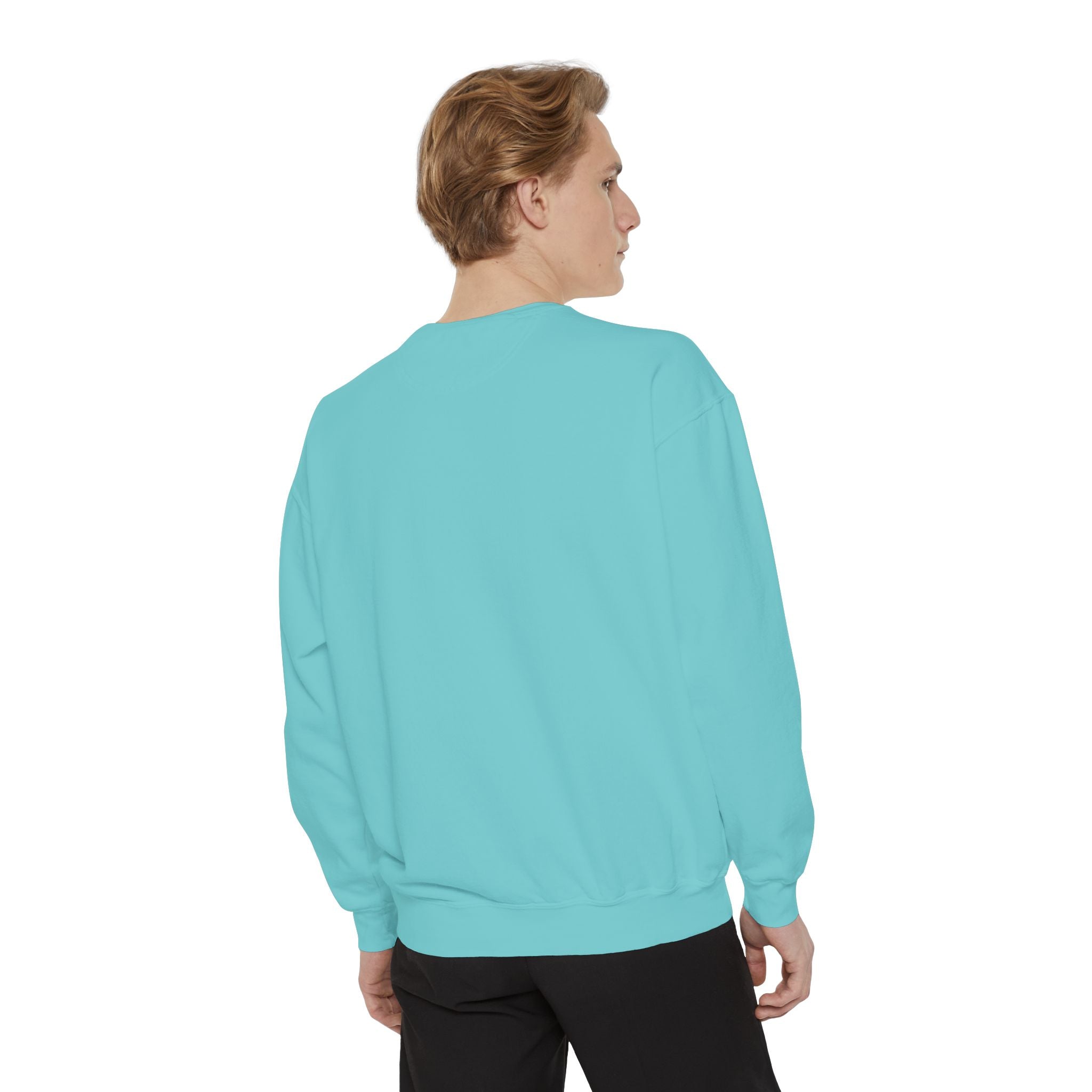 Corydoras Fish Sweatshirt — Aquatic Aquarium Catfish Graphic Crewneck