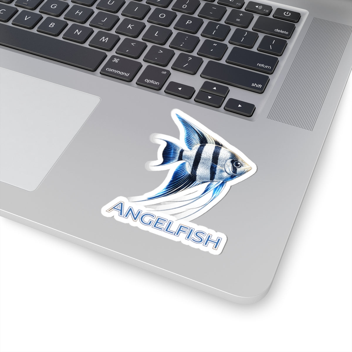 Angelfish -Cut Sticker — Blue Tropical Fish Decal for Laptops, Water Bottles & Aquarists