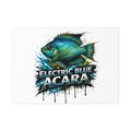 Electric Blue Acara Fish Poster — Vibrant Aquarium Wall Art