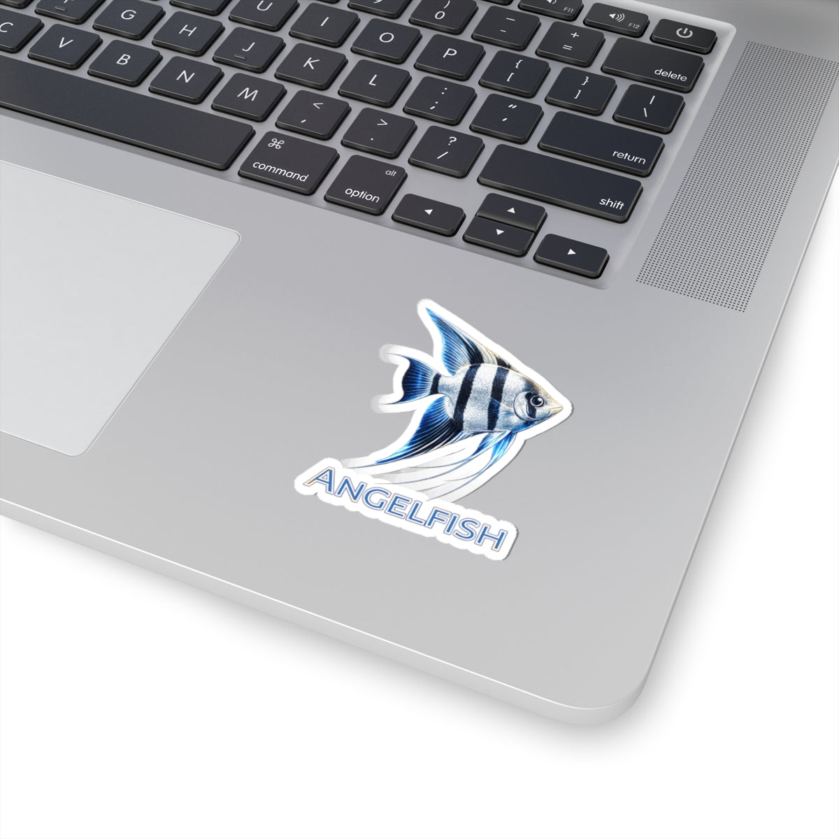 Angelfish -Cut Sticker — Blue Tropical Fish Decal for Laptops, Water Bottles & Aquarists