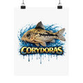 Corydoras Fish Matte Poster — Aquarium Lover Wall Art